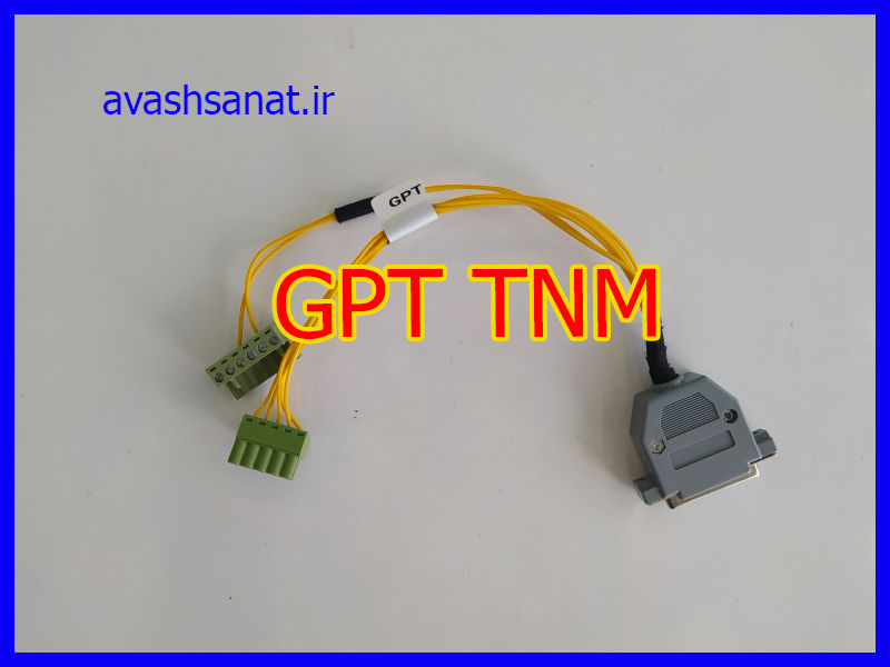 GPT TNM