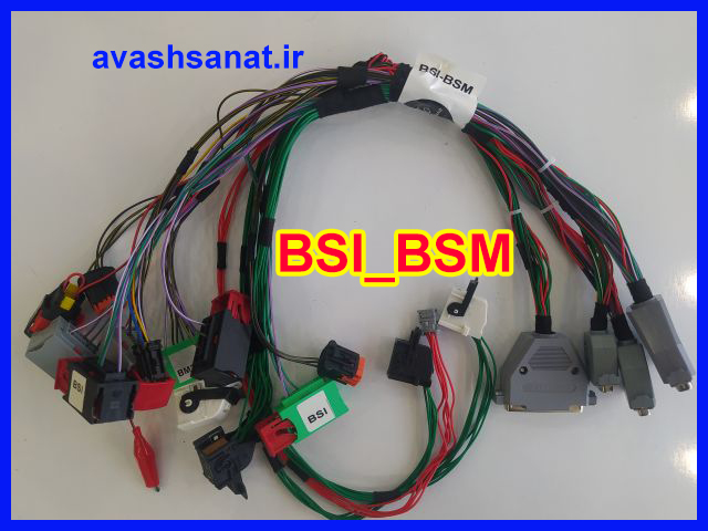 BSI / BSM